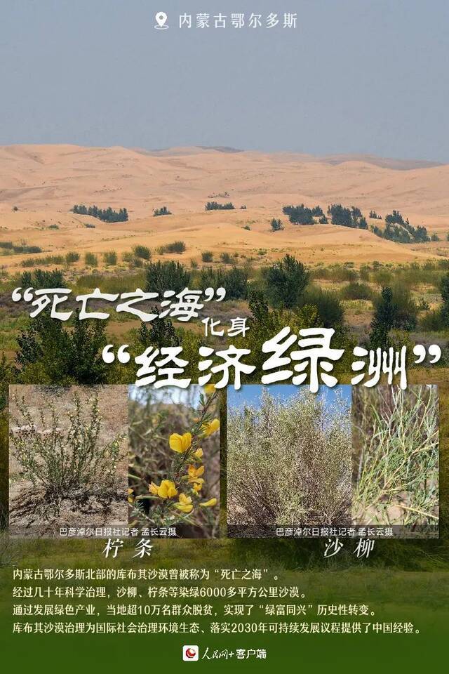 特刊  植树节：这片绿，“植”抵人心！