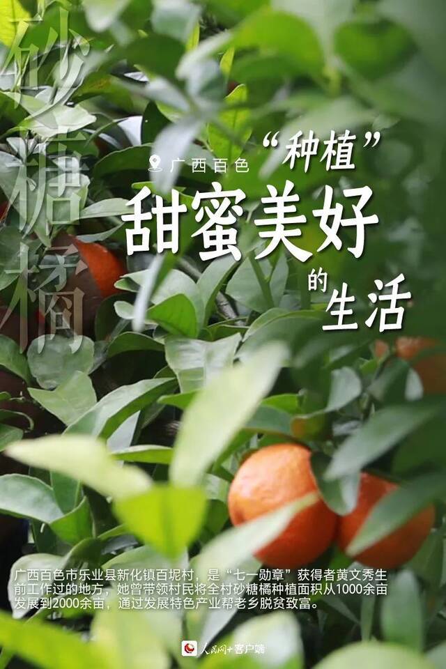 特刊  植树节：这片绿，“植”抵人心！