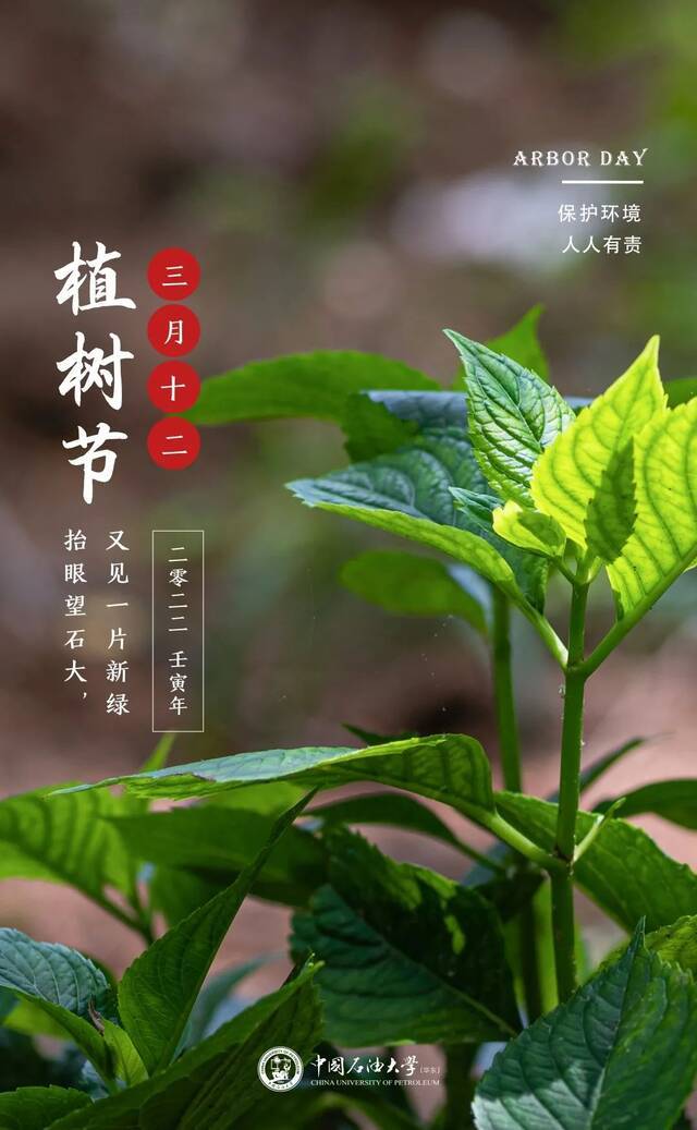 “植”此青绿，一起助力碳中和！