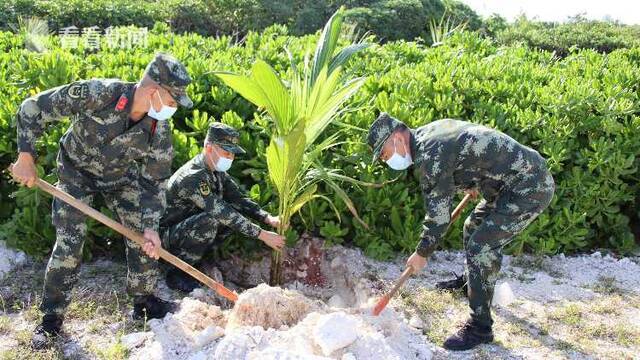 视频｜植树节丨海警在行动:保护海洋生态 建设绿色家园