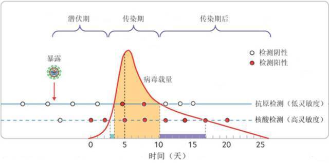 抗原检测和核酸检测发现具有感染性病人的效能对比。受访者供图