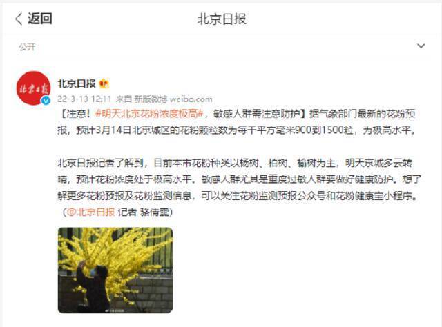 注意！明天北京花粉浓度极高 敏感人群需注意防护