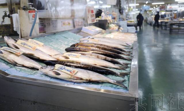 图为北海道钏路市的“钏路和商市场”里摆放的俄罗斯产鲑鱼等。摄于3月2日。（图源：日媒）