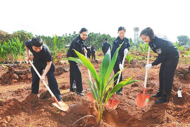 我省开展“关注森林”义务植树活动