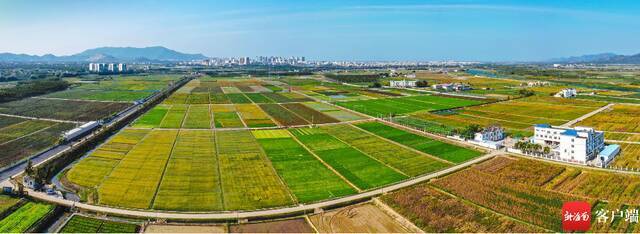 三亚崖州区南繁基地。资料图