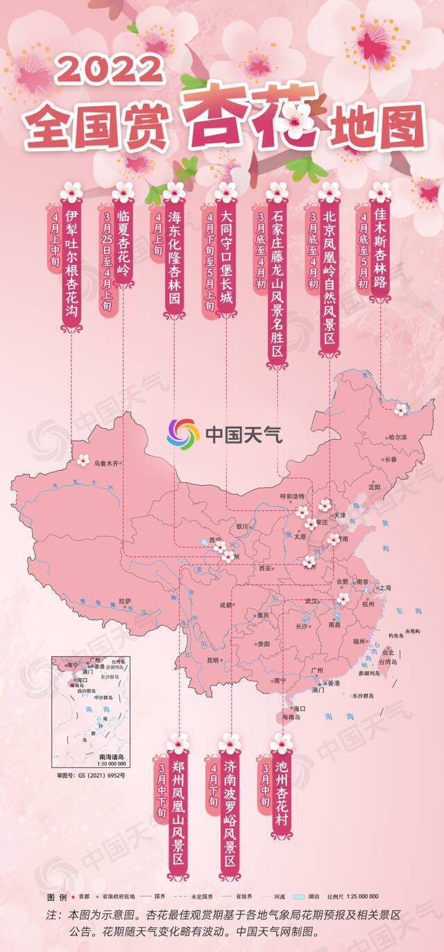 洁白似雪！2022全国赏杏花地图出炉 一睹芳容需趁早