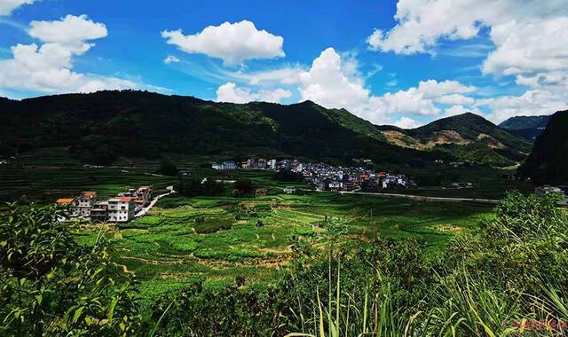 东兰县长乐宫景区板登村路段，平顺通畅的道路犹如玉带一般在青山绿野中蜿蜒穿行，成为一道亮丽的风景线。（覃浩/摄）