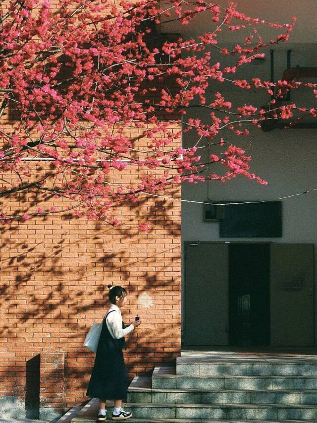 荡漾在贵师大醉人的春日里