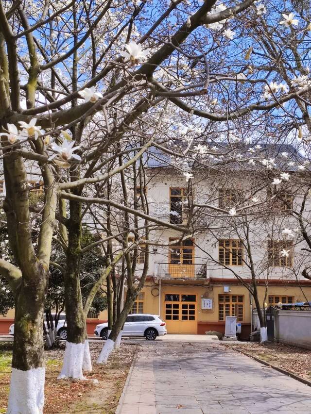 荡漾在贵师大醉人的春日里