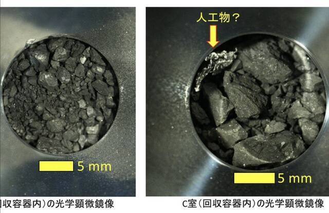 “龙宫”小行星可能有助于将生命的种子带到地球