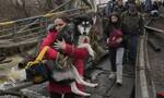 乌克兰边境新型难民出现：宠物难民让志愿者操碎了心