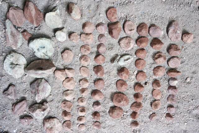 科氏玉溪龙化石出土现场照及化石照片易门县文物管理所供图