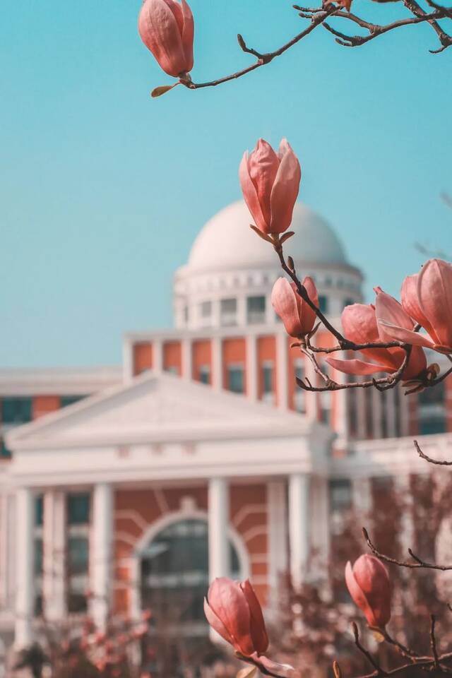 好春光，胜过梦一场  图说温医