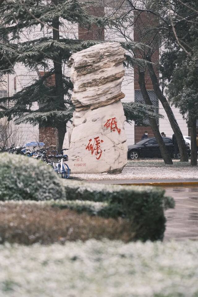 雪花纷纷扬扬春花生机昂然初放的花朵在雪中更显娇艳