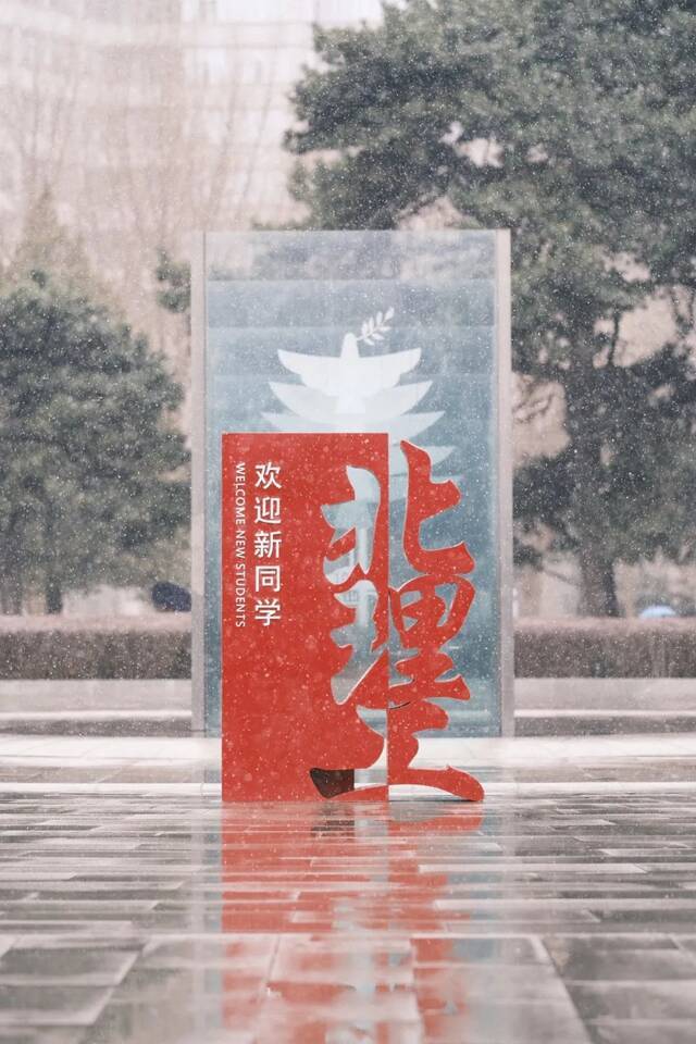 雪花纷纷扬扬春花生机昂然初放的花朵在雪中更显娇艳