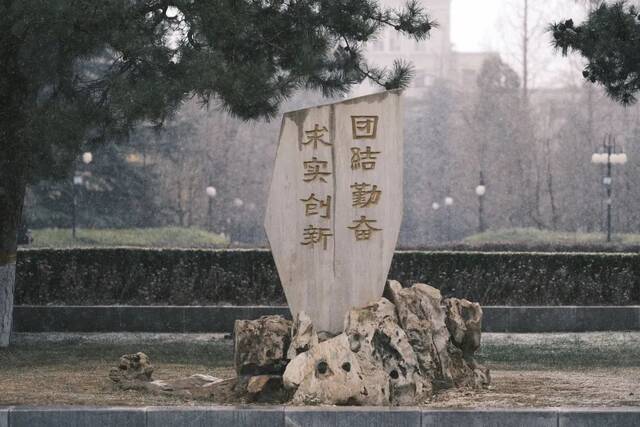 雪花纷纷扬扬春花生机昂然初放的花朵在雪中更显娇艳