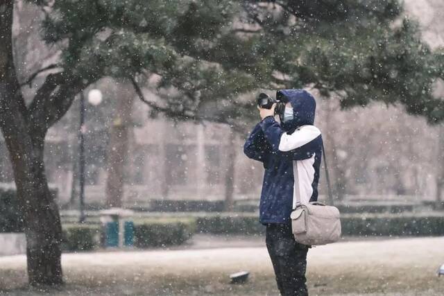 雪花飞扬春日盛景蓄势待发待阳光回暖共赴春日良辰