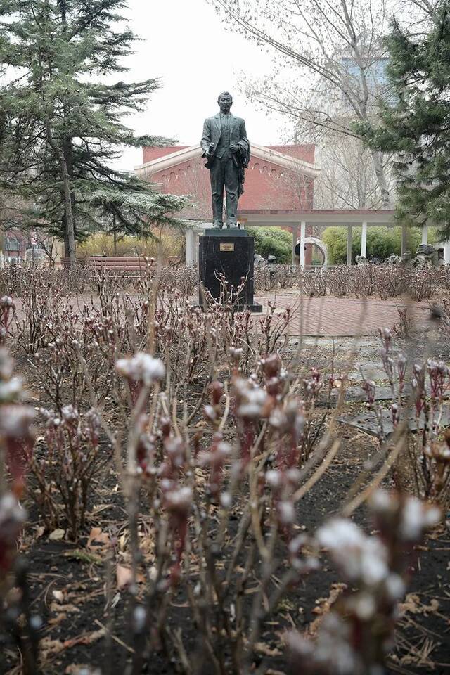 雪还在下……