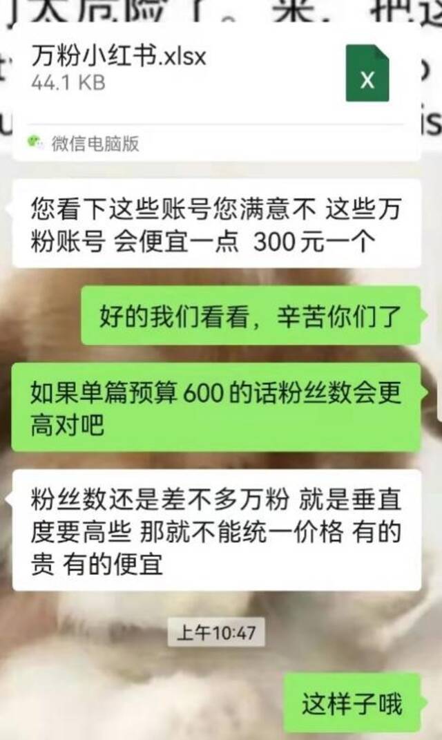 300块除了给冠希哥转账 还能买一篇小红书万粉软文