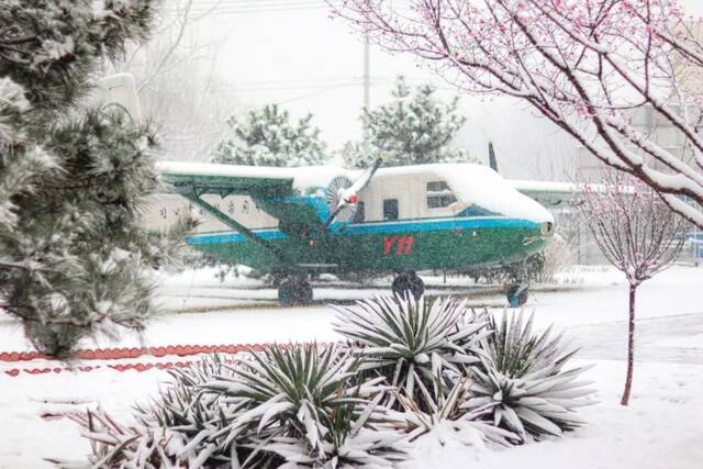 三月，北航听雪，予你情深共白头