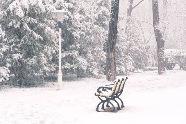 三月，北航听雪，予你情深共白头