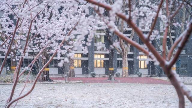 三月，北航听雪，予你情深共白头