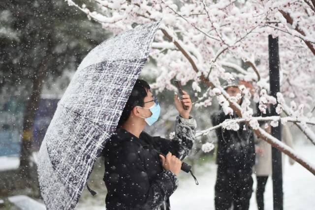 三月，北航听雪，予你情深共白头