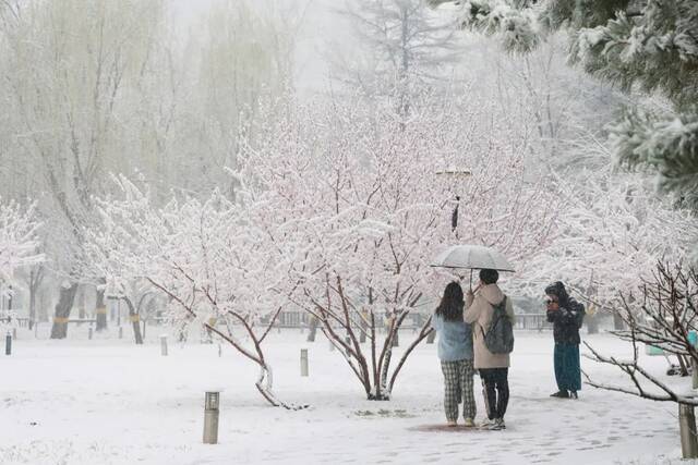 三月，北航听雪，予你情深共白头