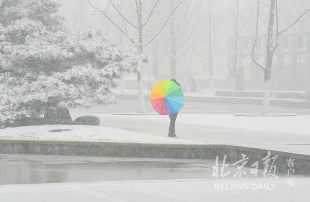 北京鹅毛大雪幻化出一片“雪国”