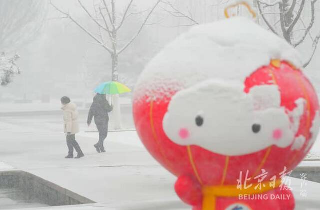 北京鹅毛大雪幻化出一片“雪国”