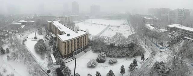 飞雪带春风