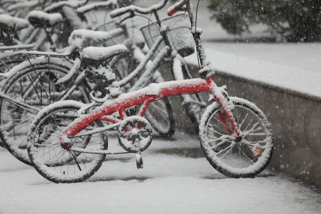 飞雪带春风