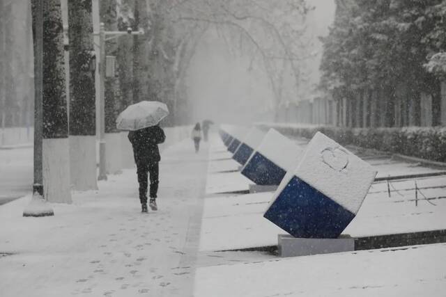 飞雪带春风