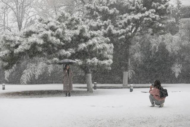 飞雪带春风