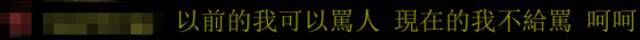 苏贞昌声称“把官员当狗骂的时代该过去了”，台网友吐槽：只有绿营能骂人