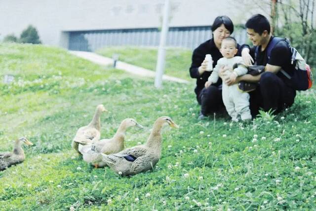 今天想请你看•贵大印刻在胶片里