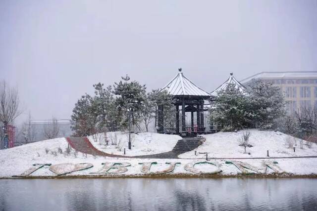 白雪却嫌春色晚，故穿庭树作飞花雪落凝成霰，银湖映影明