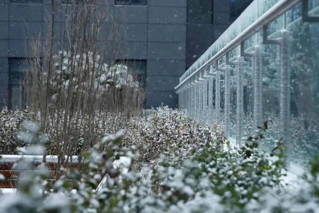 三月银雪盼春来，共赏雪中北中医的浪漫