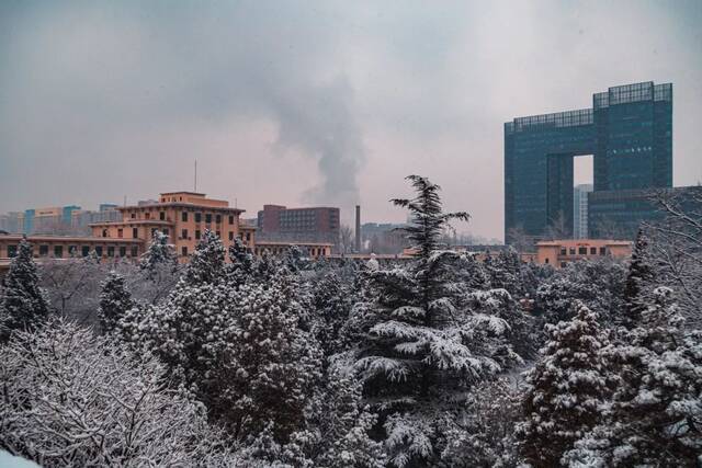 快快快！再不发雪就化了！