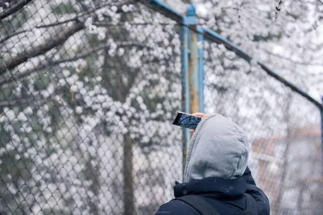 快快快！再不发雪就化了！