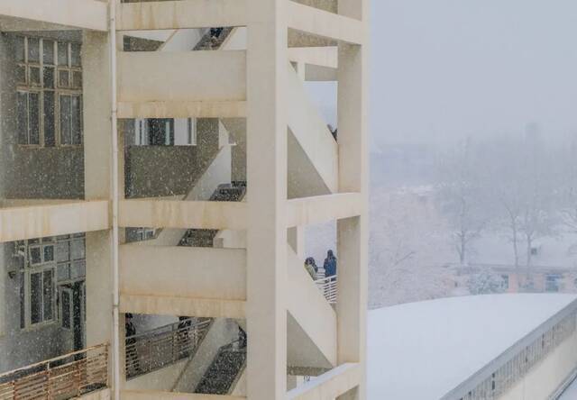 快快快！再不发雪就化了！