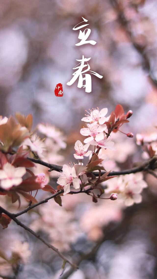 今日春分，中南二十四节气，唤醒你的独家记忆！