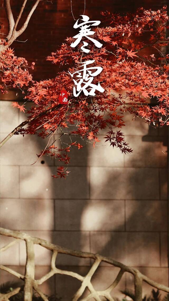 今日春分，中南二十四节气，唤醒你的独家记忆！