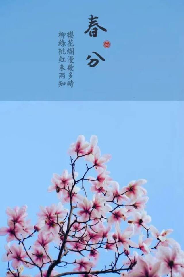 江南每一个角落的春天