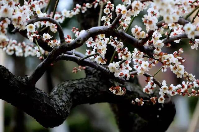 春分时节，拾春去！