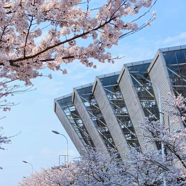 春分日  贵大春色 最是人间好颜色！