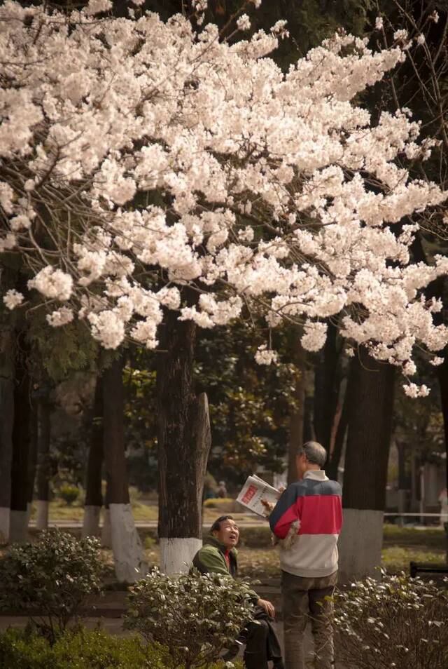 春分日  贵大春色 最是人间好颜色！