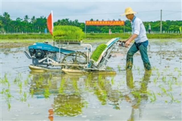 机械穿梭忙 不负好春光