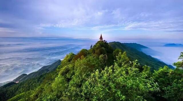 茶山竹海永川区委宣传部供图