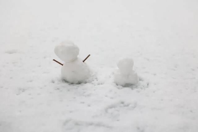 当华电春花遇到烂漫春雪……